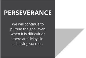 PERSEVERANCE We will continue to pursue the goal even when it is difficult or there are delays in achieving success.